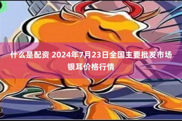 什么是配资 2024年7月23日全国主要批发市场银耳价格行情