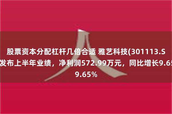 股票资本分配杠杆几倍合适 雅艺科技(301113.SZ)发布上半年业绩，净利润572.99万元，同比增长9.65%