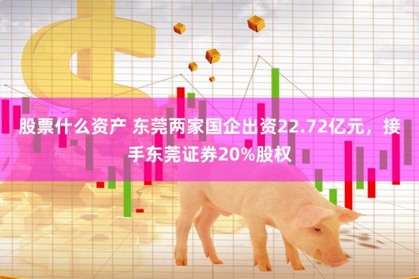 股票什么资产 东莞两家国企出资22.72亿元，接手东莞证券20%股权