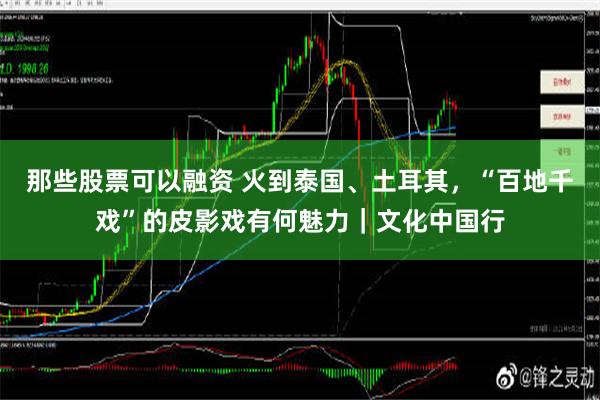 那些股票可以融资 火到泰国、土耳其，“百地千戏”的皮影戏有何魅力｜文化中国行